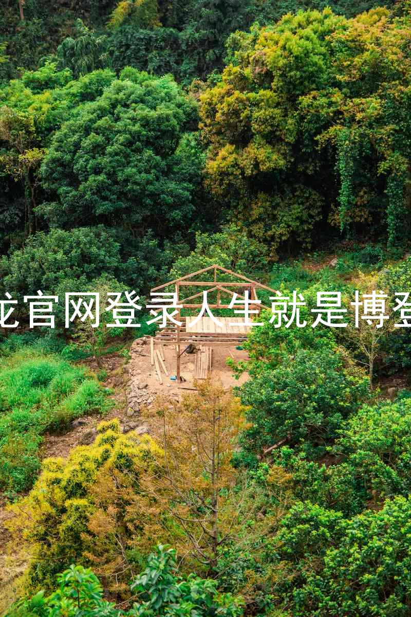 尊龙官网登录人生就是博登录